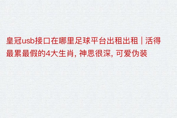 皇冠usb接口在哪里足球平台出租出租 | 活得最累最假的4大生肖， 神思很深， 可爱伪装